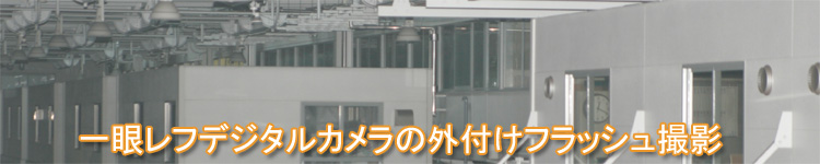 ��჌�t�f�W�^���J�����̊O�t���t���b�V���B�e